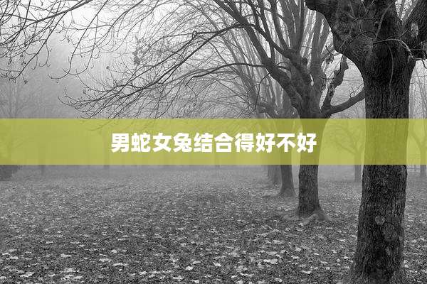 男蛇女兔结合得好不好