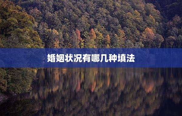 婚姻状况有哪几种填法