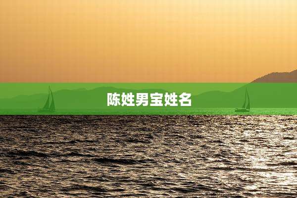 陈姓男宝姓名
