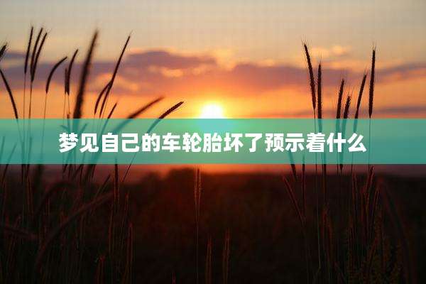 梦见自己的车轮胎坏了预示着什么