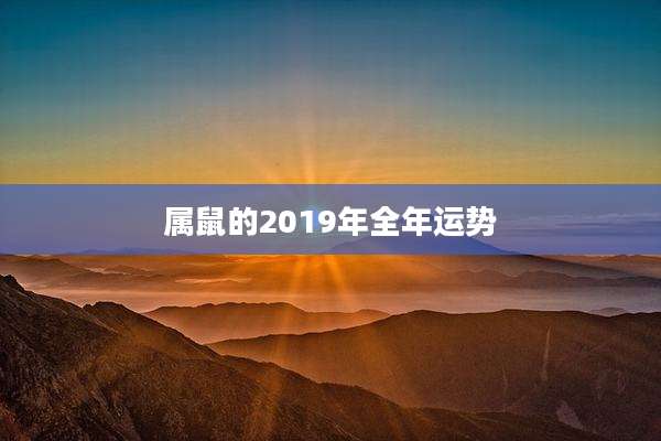 属鼠的2019年全年运势