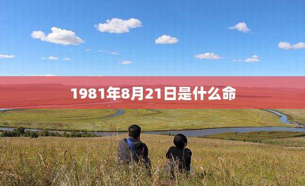 1981年8月21日是什么命