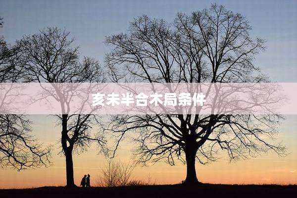 亥未半合木局条件