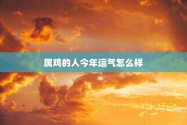 属鸡的人今年运气怎么样