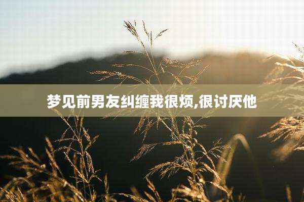 梦见前男友纠缠我很烦,很讨厌他