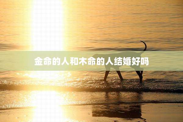 金命的人和木命的人结婚好吗