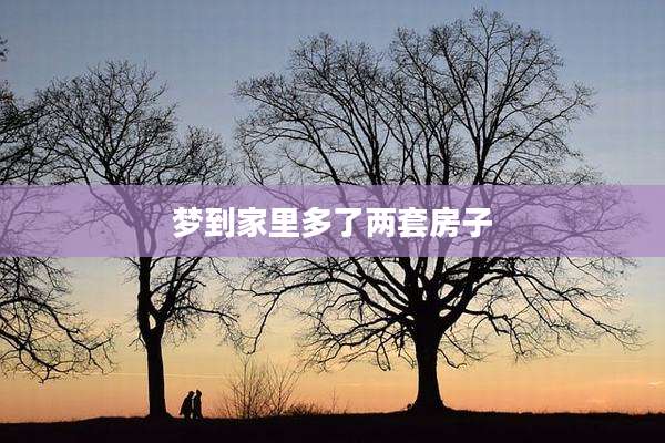 梦到家里多了两套房子