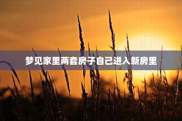 梦见家里两套房子自己进入新房里