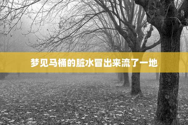 梦见马桶的脏水冒出来流了一地