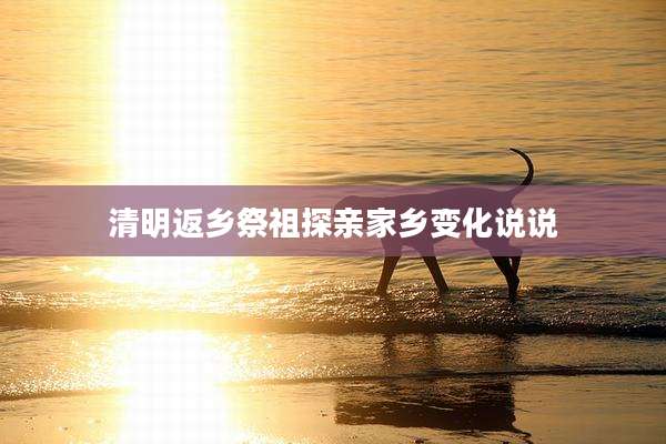 清明返乡祭祖探亲家乡变化说说