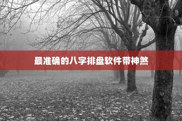 最准确的八字排盘软件带神煞