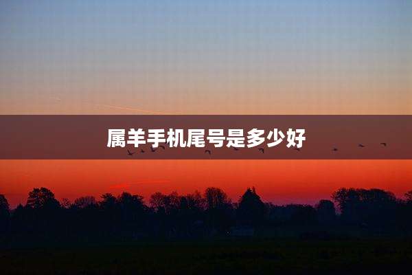 属羊手机尾号是多少好