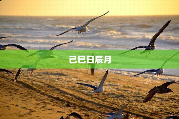 己巳日辰月