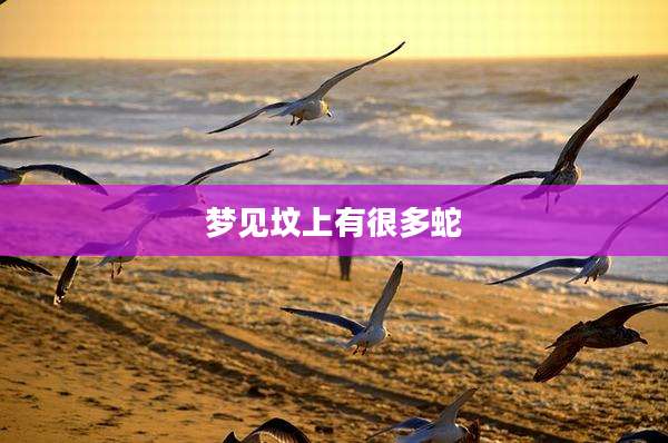 梦见坟上有很多蛇