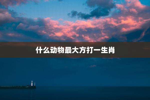 什么动物最大方打一生肖