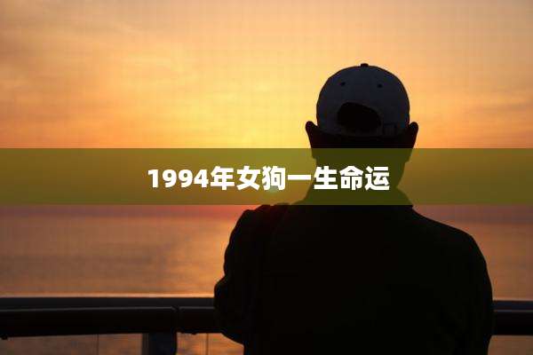 1994年女狗一生命运