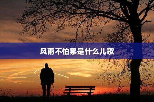 风雨不怕累是什么儿歌