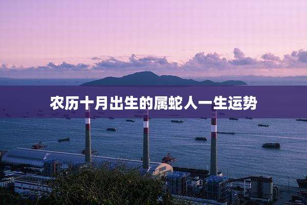 农历十月出生的属蛇人一生运势