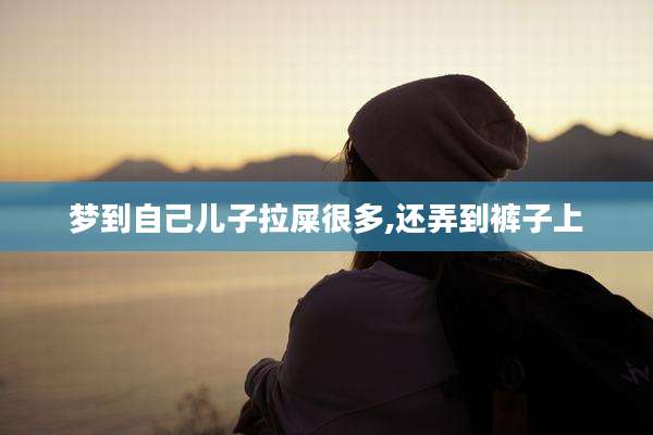梦到自己儿子拉屎很多,还弄到裤子上