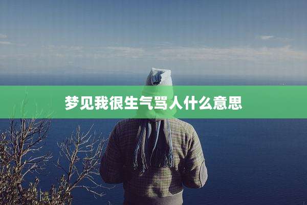 梦见我很生气骂人什么意思