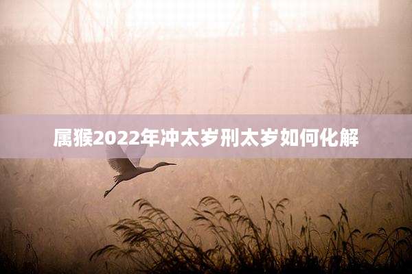 属猴2022年冲太岁刑太岁如何化解