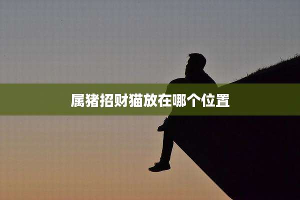 属猪招财猫放在哪个位置