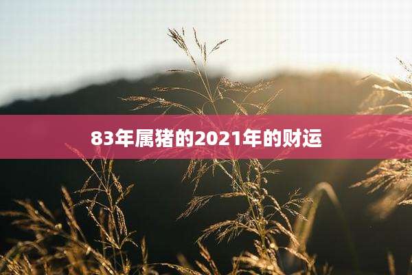 83年属猪的2021年的财运