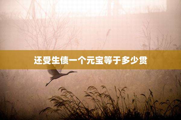 还受生债一个元宝等于多少贯