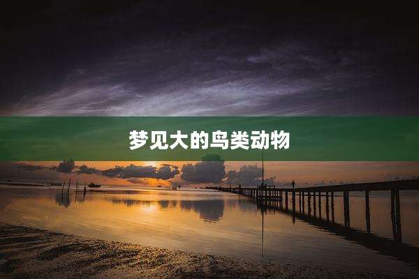 梦见大的鸟类动物
