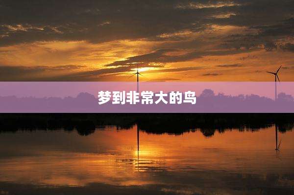 梦到非常大的鸟