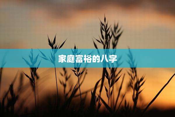 家庭富裕的八字