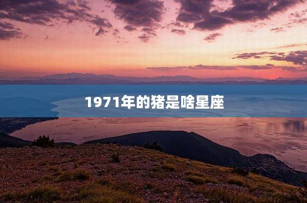 1971年的猪是啥星座