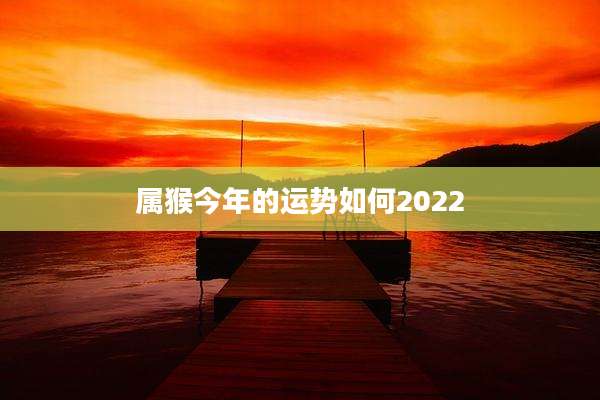 属猴今年的运势如何2022