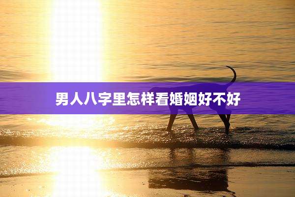 男人八字里怎样看婚姻好不好