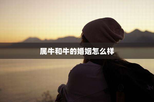属牛和牛的婚姻怎么样