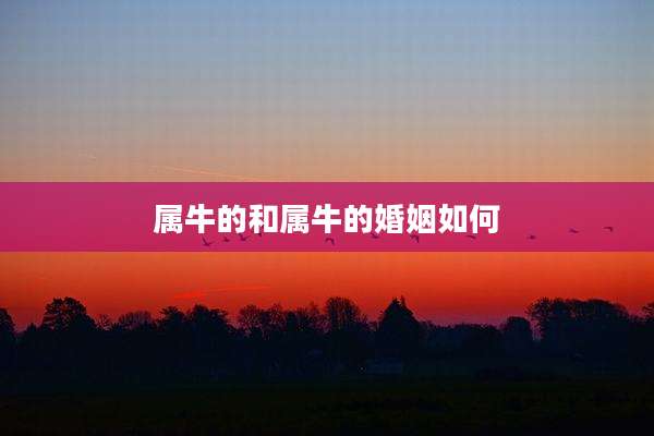 属牛的和属牛的婚姻如何