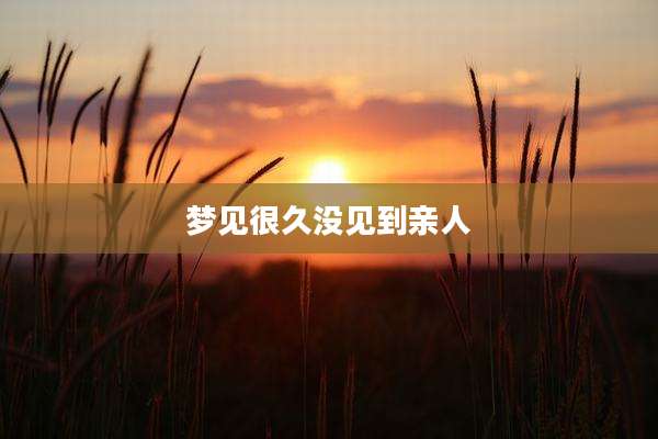 梦见很久没见到亲人