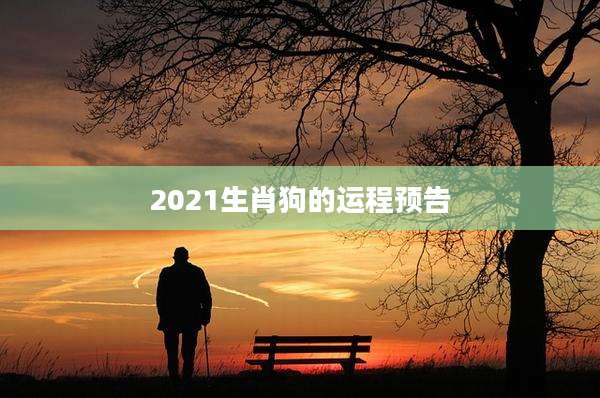 2021生肖狗的运程预告