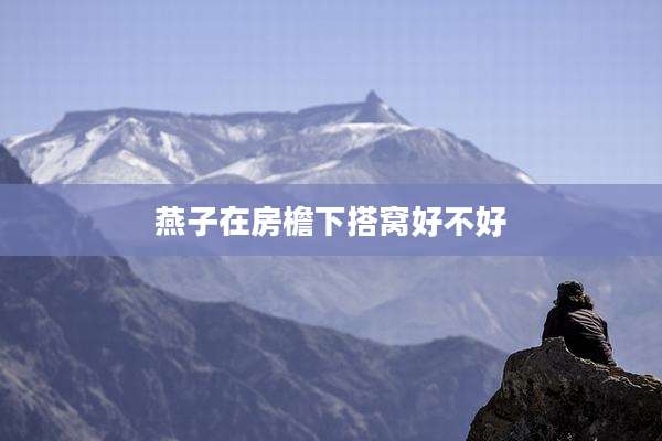 燕子在房檐下搭窝好不好