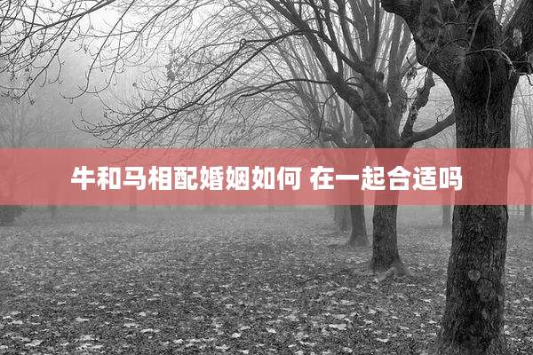 牛和马相配婚姻如何 在一起合适吗