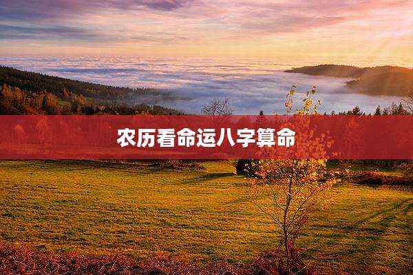 农历看命运八字算命