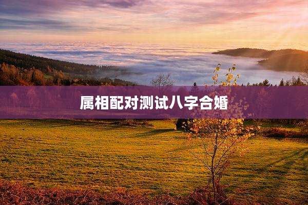 属相配对测试八字合婚