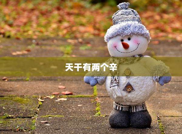 天干有两个辛