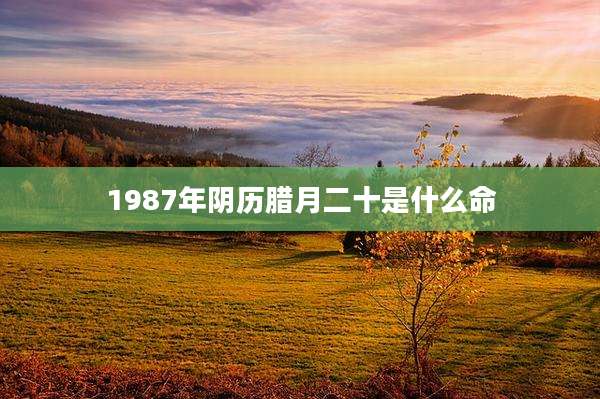 1987年阴历腊月二十是什么命