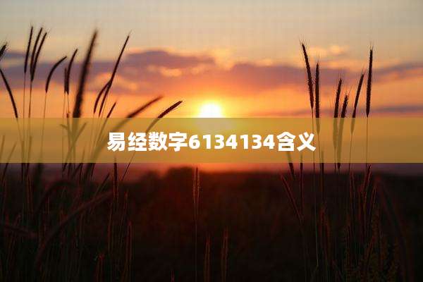 易经数字6134134含义