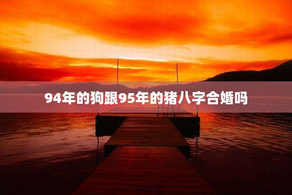 94年的狗跟95年的猪八字合婚吗