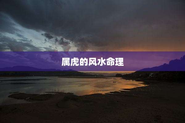 属虎的风水命理