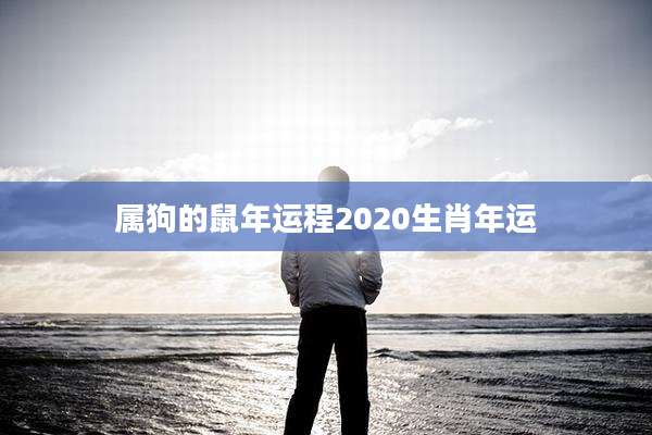 属狗的鼠年运程2020生肖年运