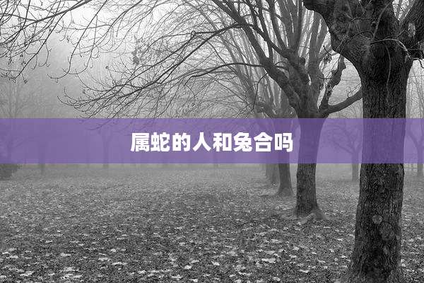 属蛇的人和兔合吗