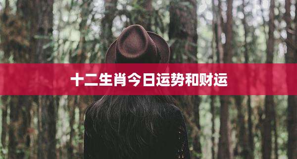 十二生肖今日运势和财运